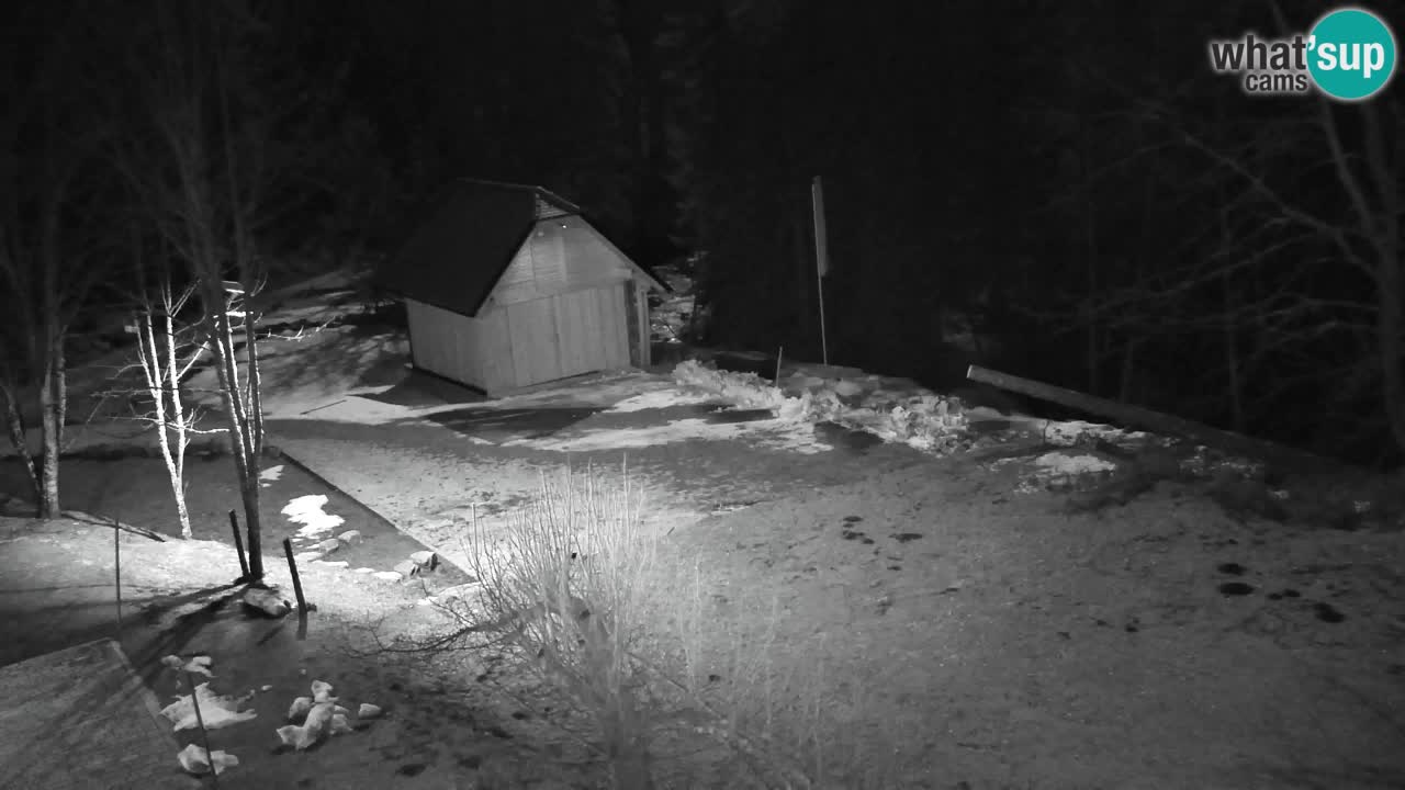 Webcam Lukanja – Pohorje houses a Water village