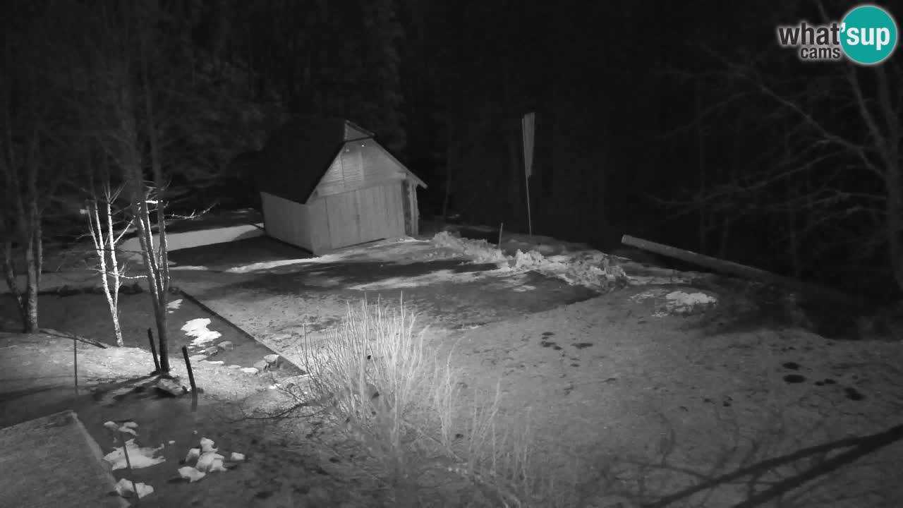 Webcam Lukanja – Pohorje houses a Water village