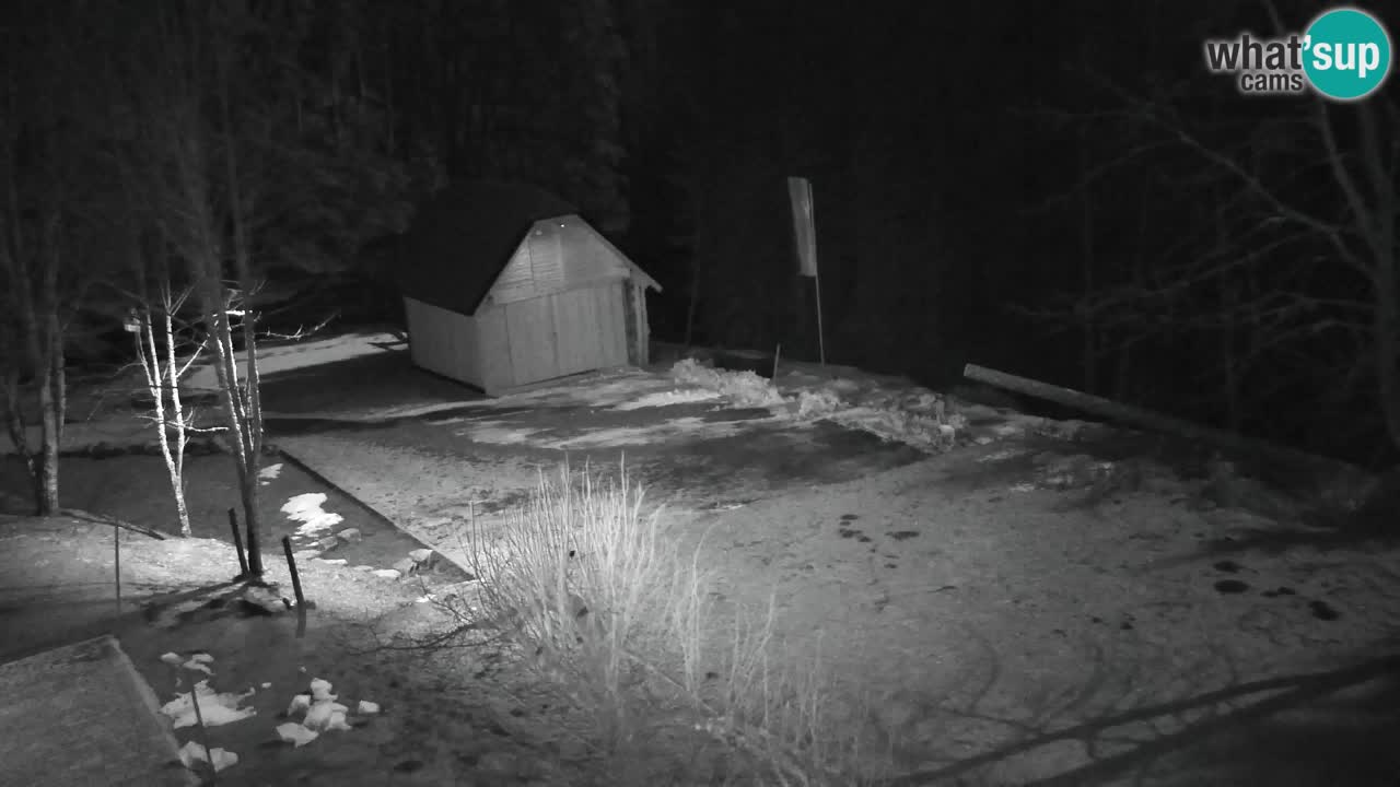 Webcam Lukanja – Water Village | Pohorje Houses