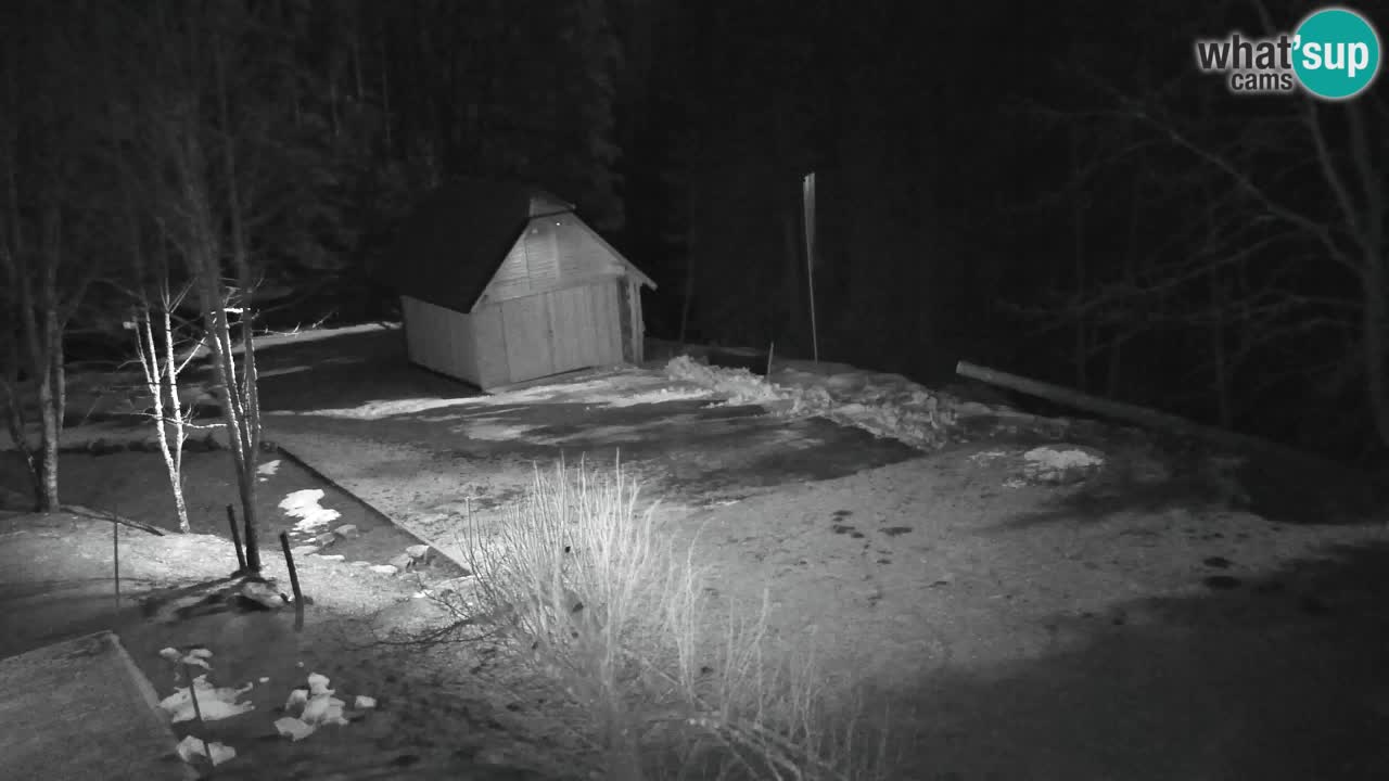 Webcam Lukanja – Pohorje houses a Water village