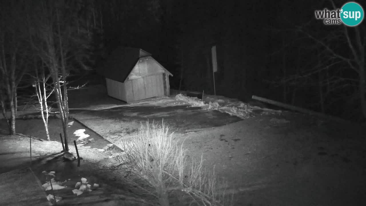 Webcam Lukanja – Water Village | Pohorje Houses