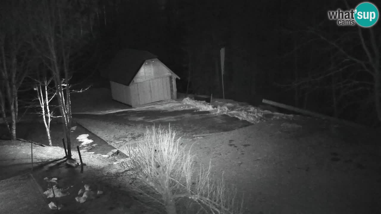 Spletna kamera Lukanja – Water Village | Pohorje Houses