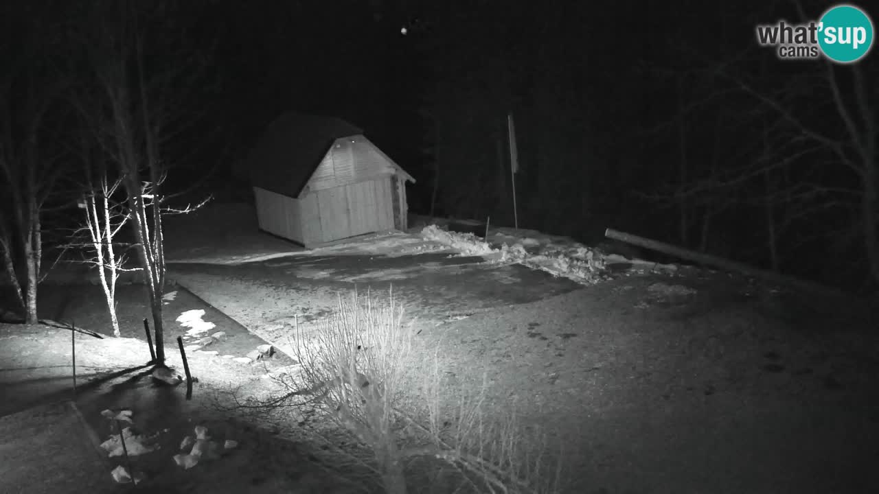 Webcam Lukanja – Water Village | Pohorje Houses