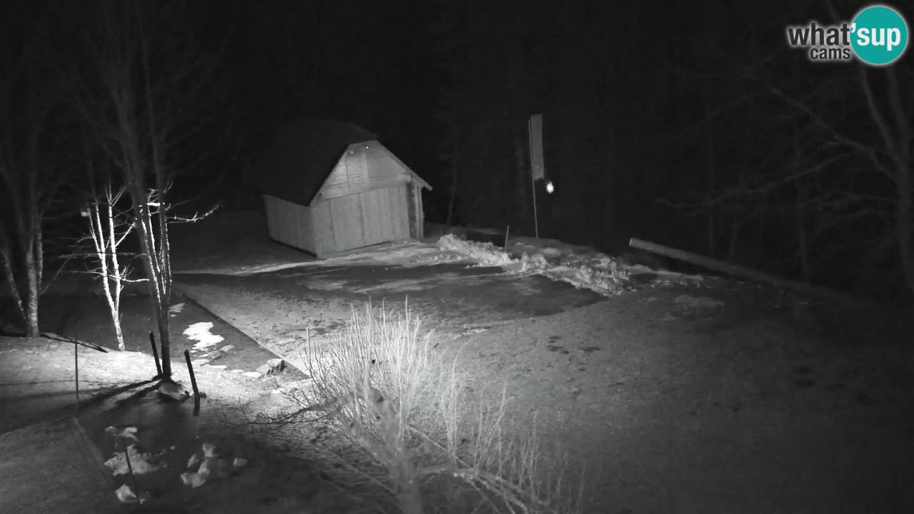 Spletna kamera Lukanja – Water Village | Pohorje Houses