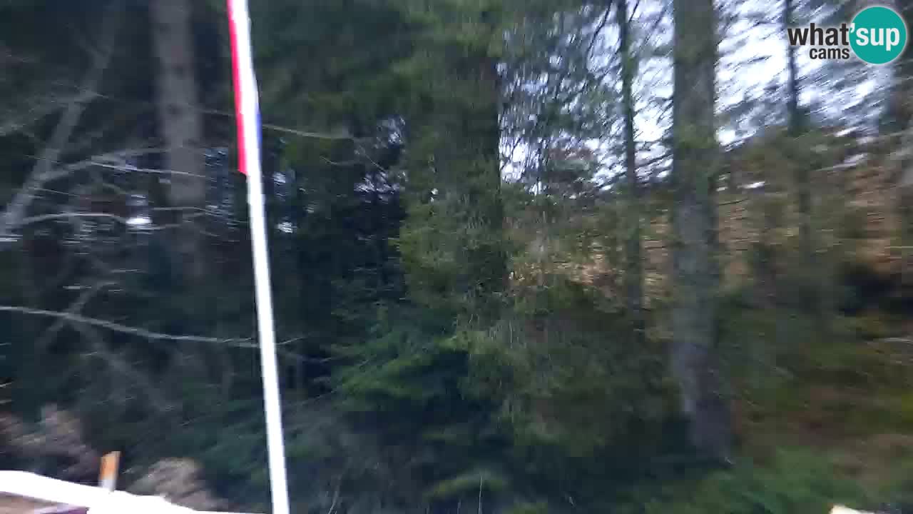 Webcam Lukanja – Water Village | Pohorje Houses