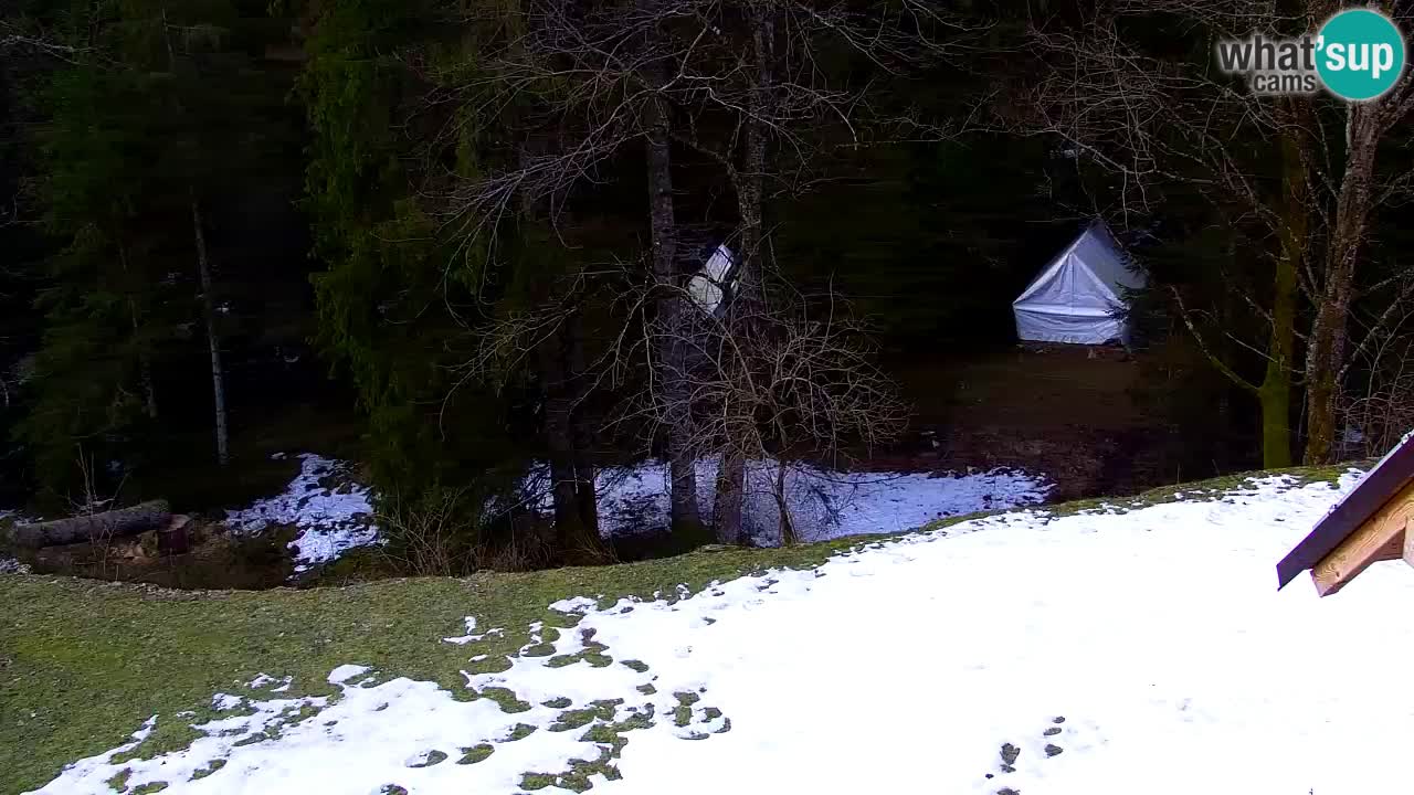 Webcam Lukanja – Water Village | Pohorje Houses