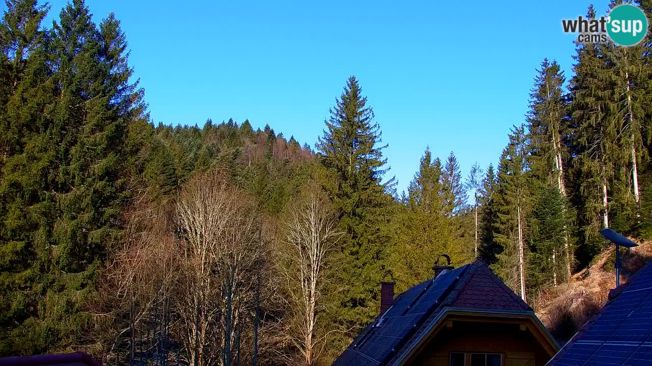 Webcam Lukanja – Water Village | Pohorje Houses