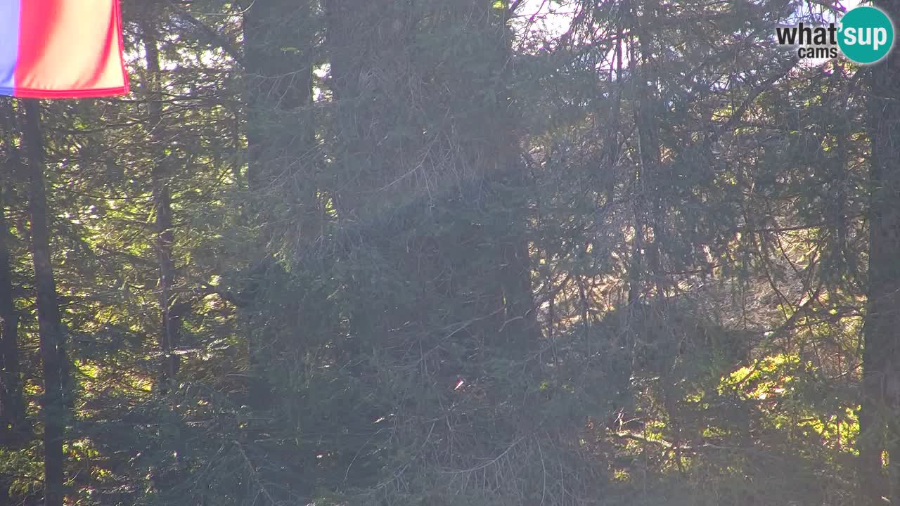 Spletna kamera Lukanja – Water Village | Pohorje Houses