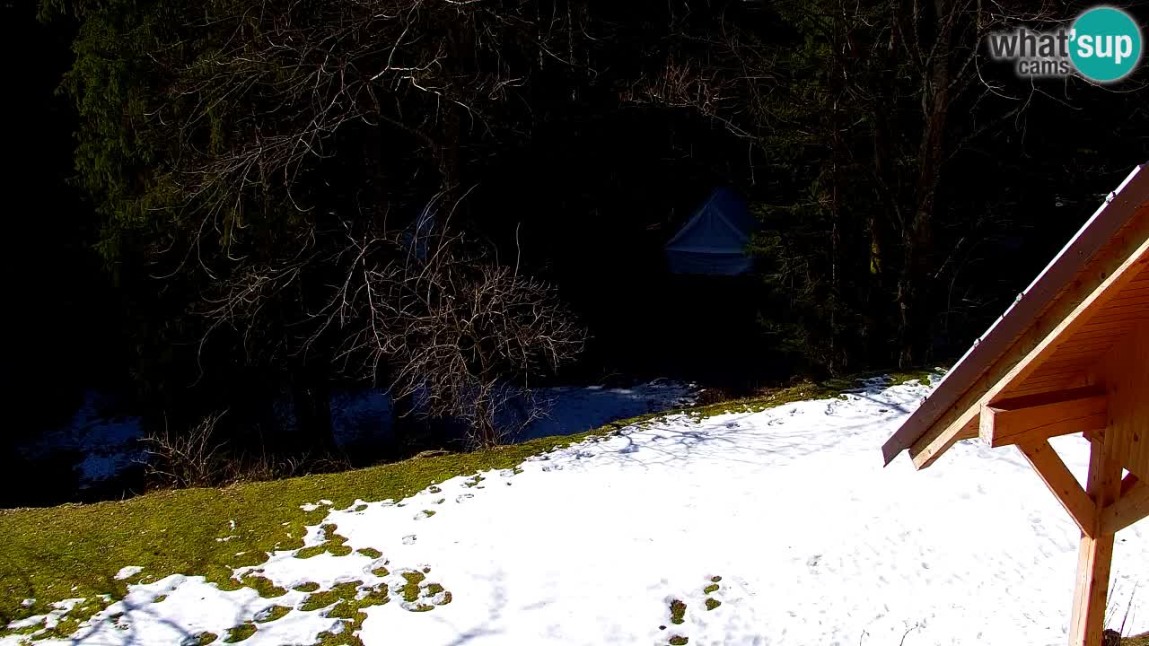 Webcam Lukanja – Water Village | Pohorje Houses