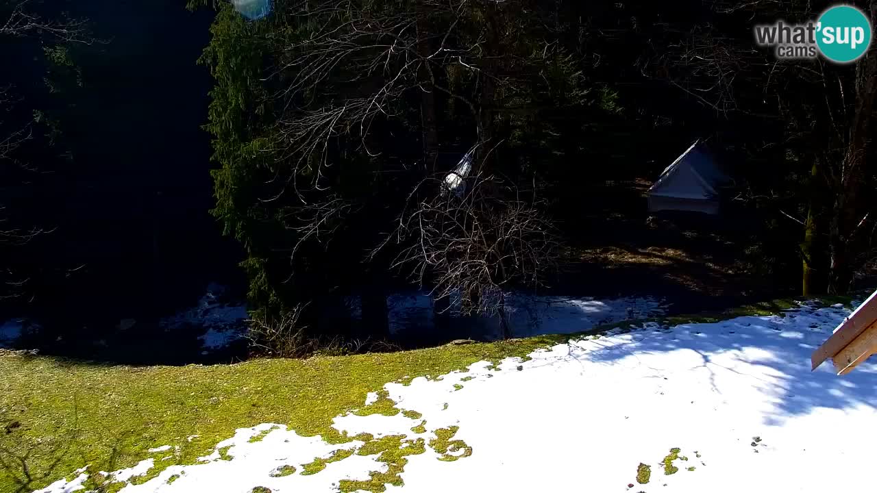 Spletna kamera Lukanja – Water Village | Pohorje Houses