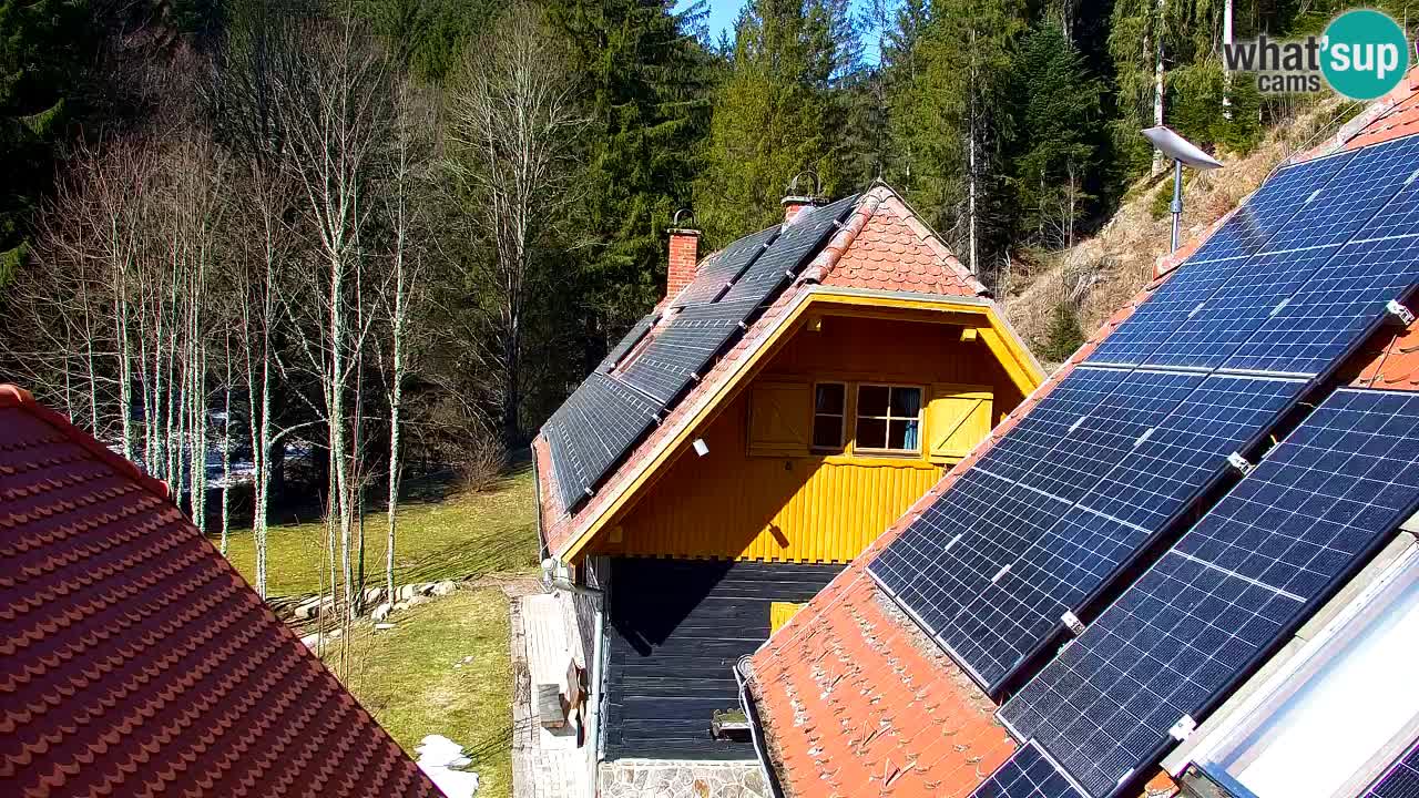 Webcam Lukanja – Water Village | Pohorje Houses