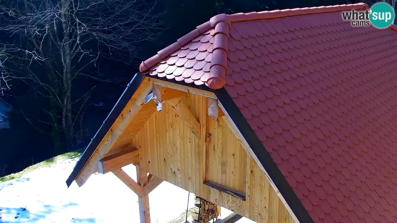 Webcam Lukanja – Pohorje houses a Water village