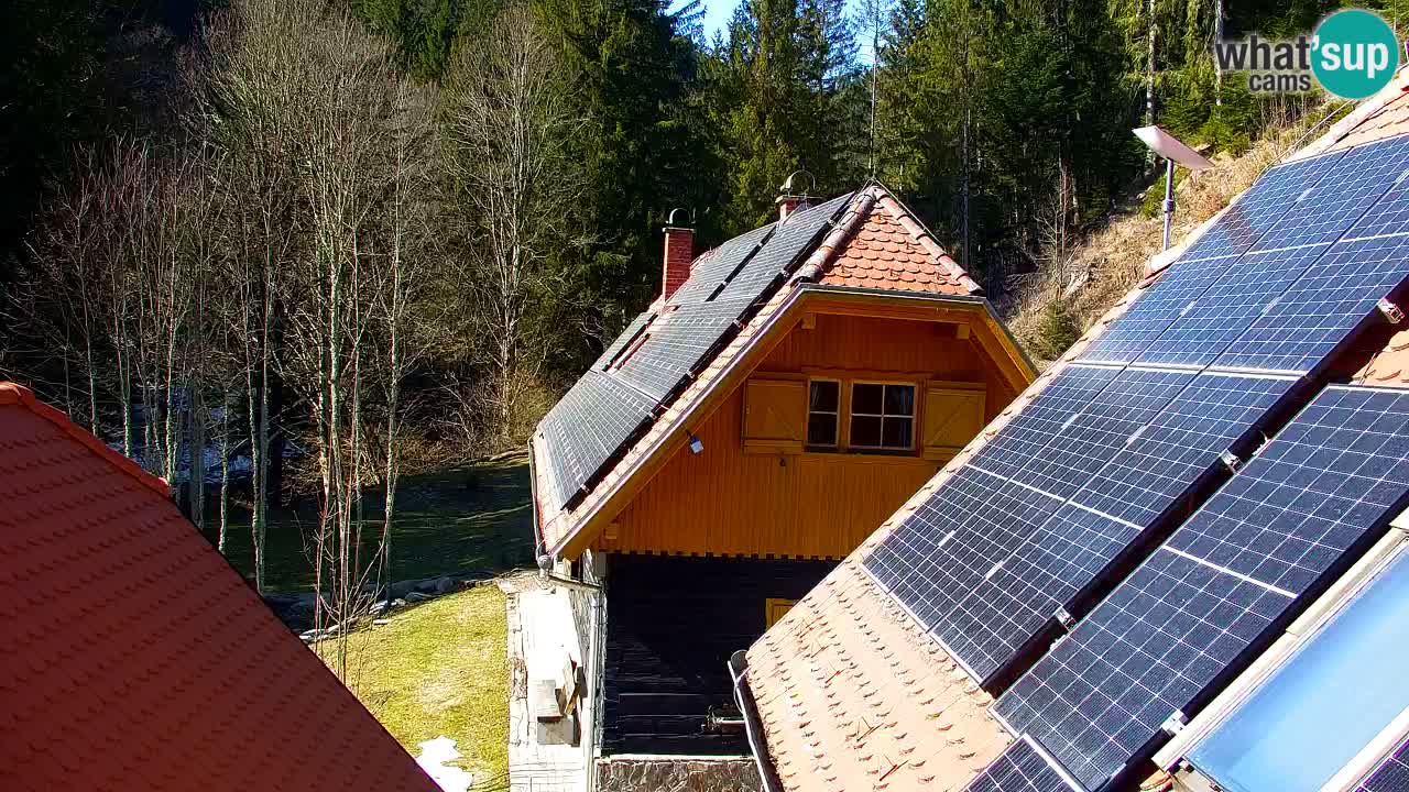 Webcam Lukanja – Water Village | Pohorje Houses