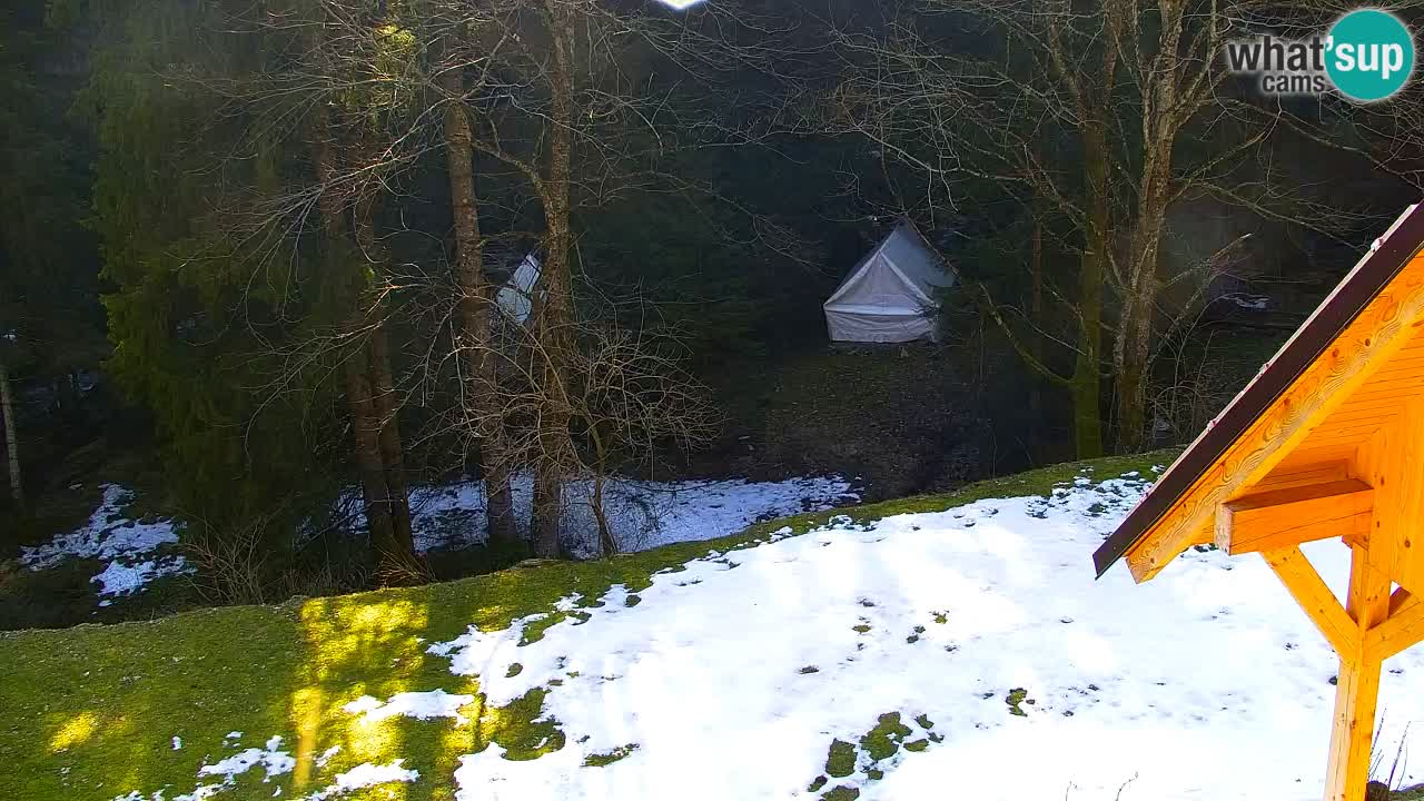 Webcam Lukanja – Water Village | Pohorje Houses