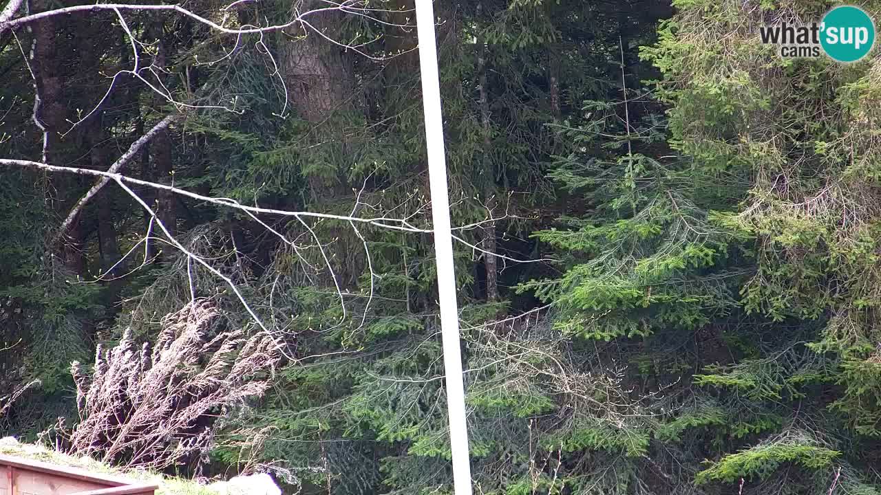 Webcam Lukanja – Pohorje houses a Water village
