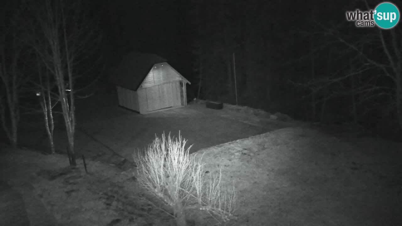 Webcam Lukanja – Pohorje houses a Water village