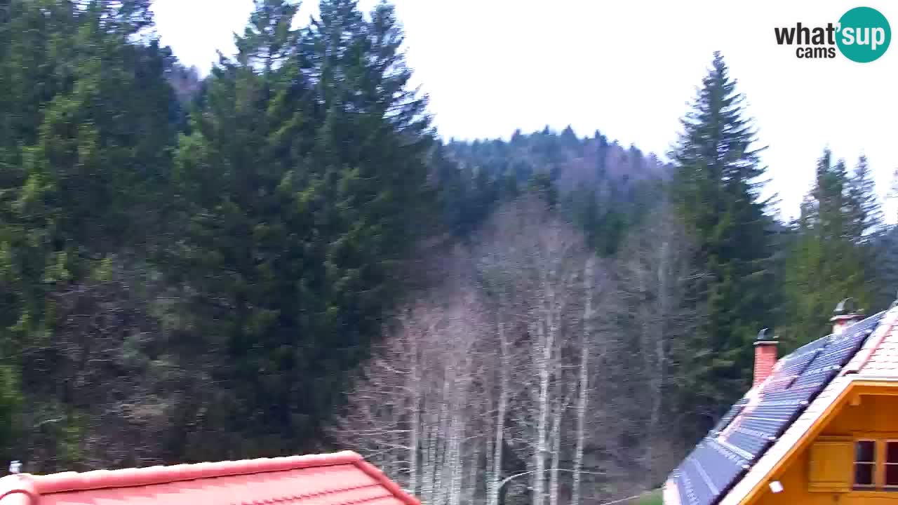 Webcam Lukanja – Pohorje houses a Water village