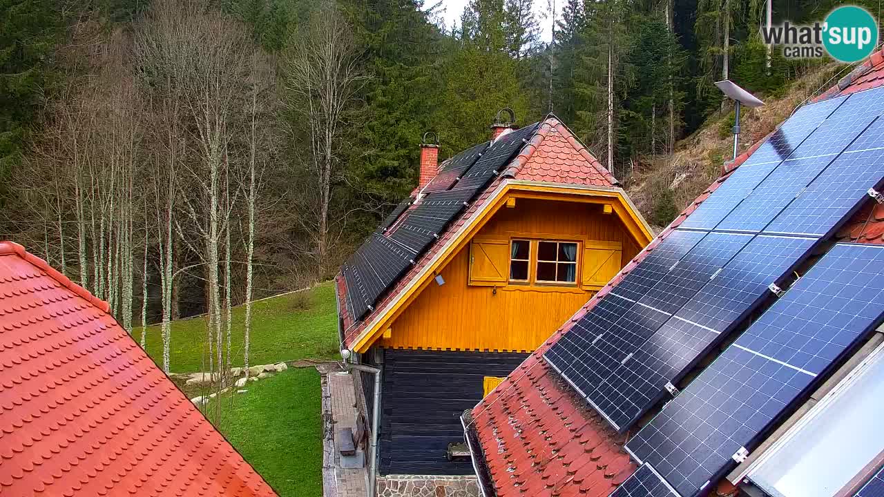 Webcam Lukanja – Water Village | Pohorje Houses