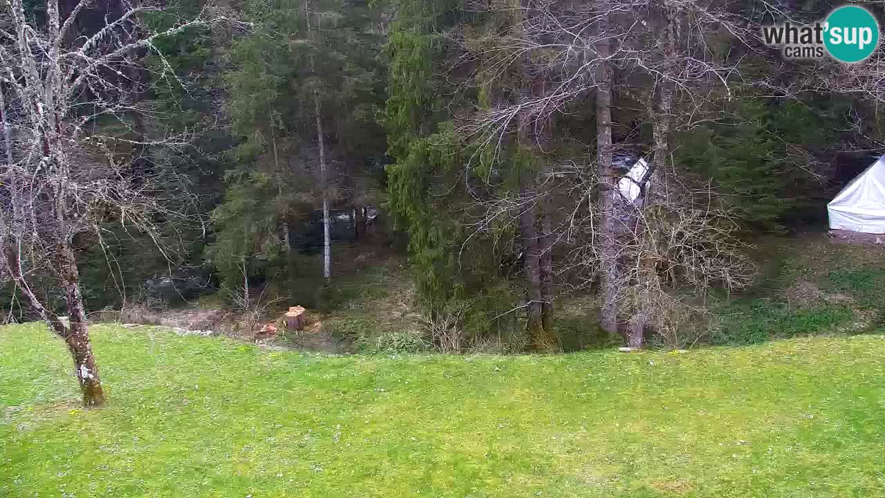 Webcam Lukanja – Water Village | Pohorje Houses