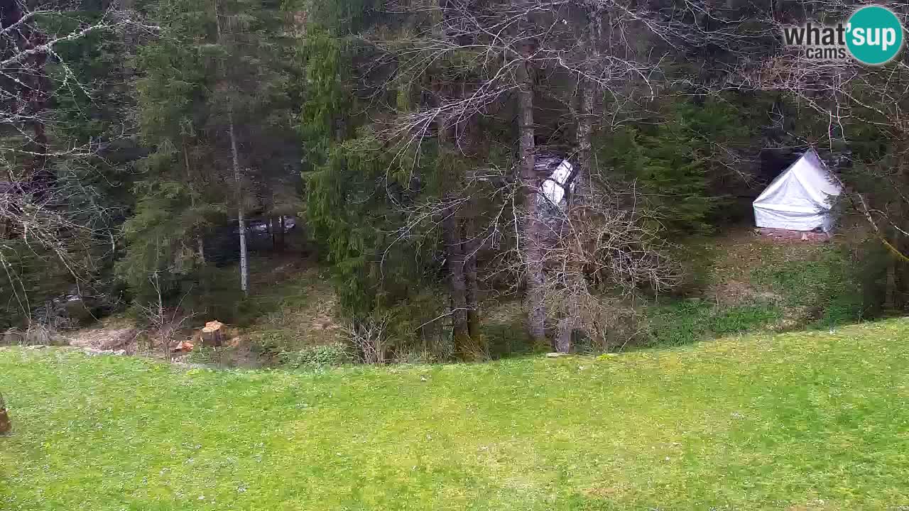 Webcam Lukanja – Water Village | Pohorje Houses