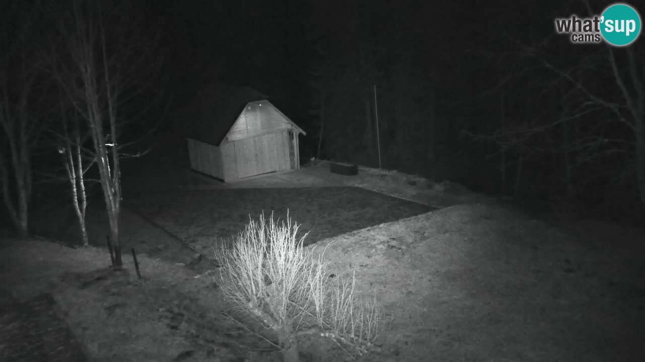 Spletna kamera Lukanja – Water Village | Pohorje Houses