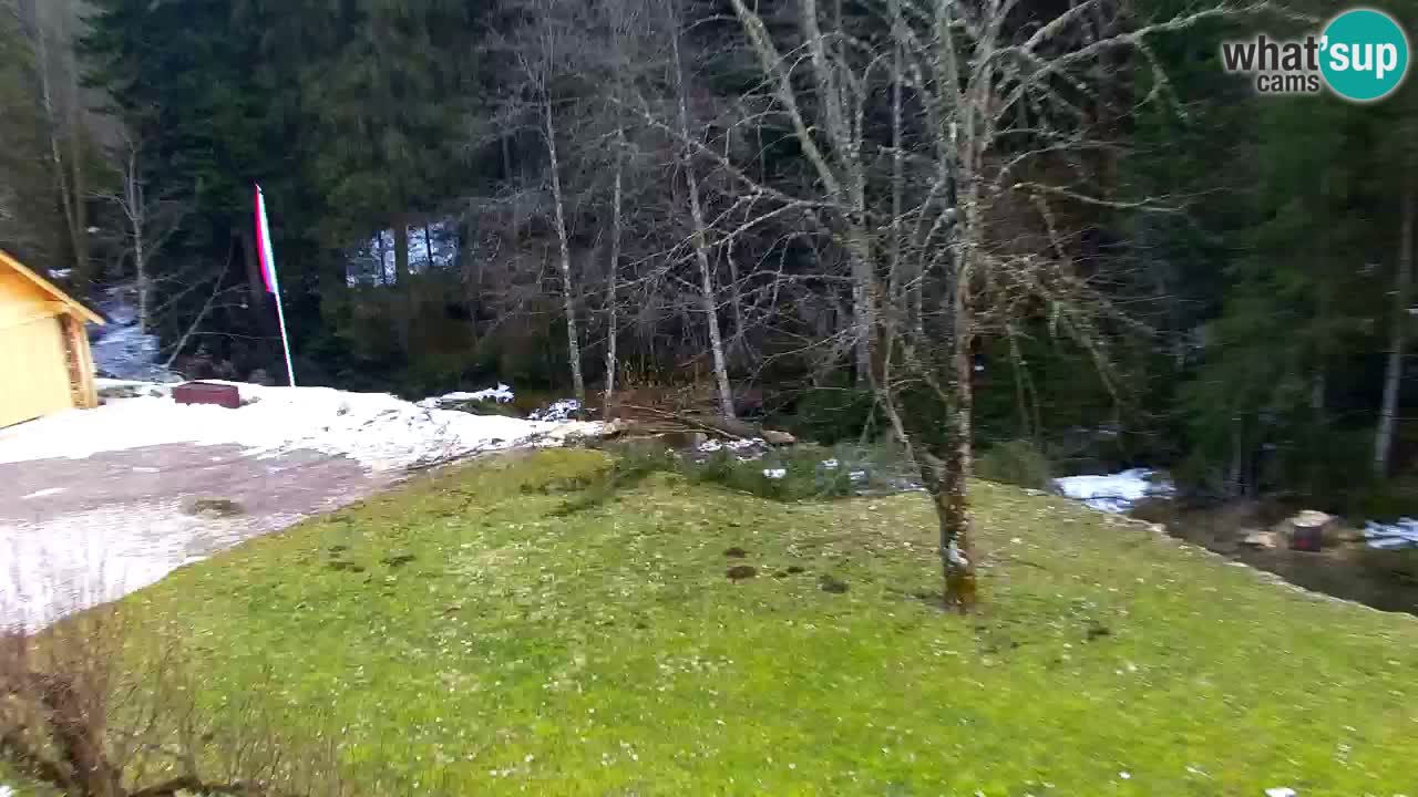 Webcam Lukanja – Water Village | Pohorje Houses