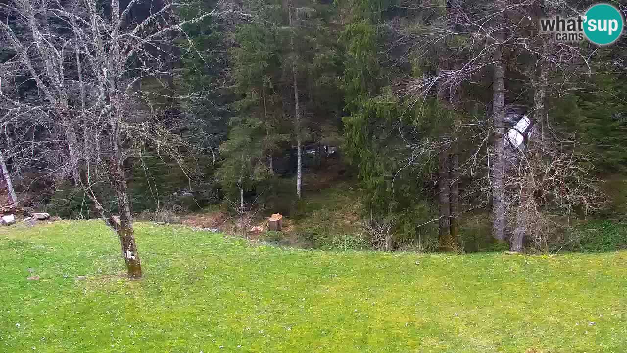 Webcam Lukanja – Water Village | Pohorje Houses