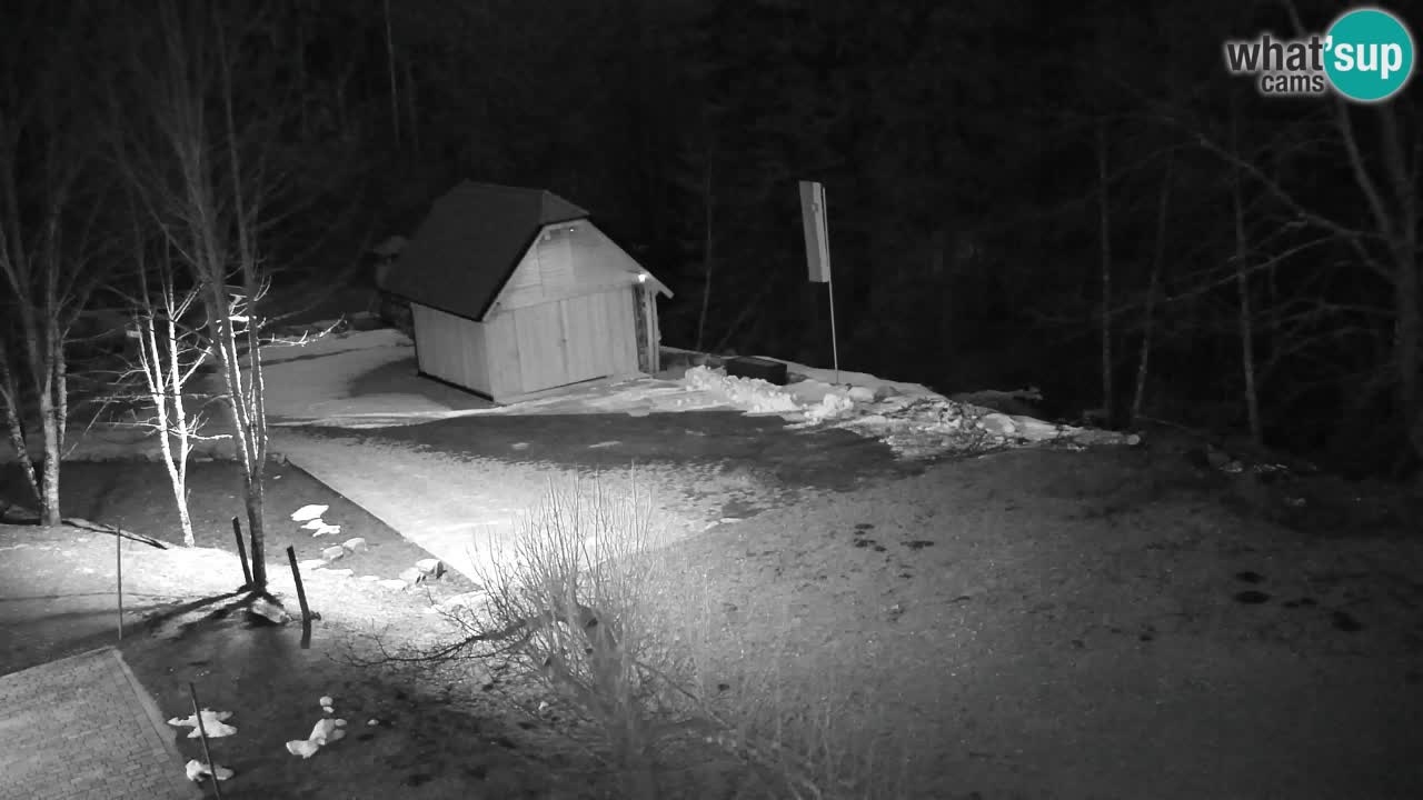 Webcam Lukanja – Water Village | Pohorje Houses