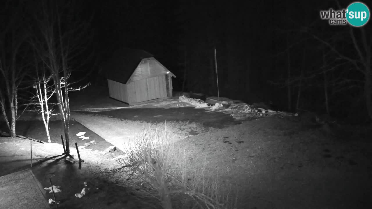 Spletna kamera Lukanja – Water Village | Pohorje Houses