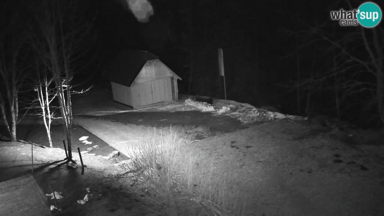 Web kamera Lukanja – Water Village | Pohorje Houses