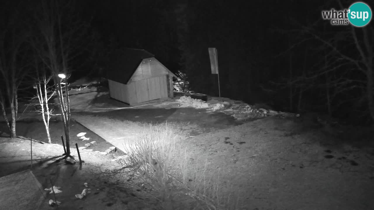 Webcam Lukanja – Water Village | Pohorje Houses