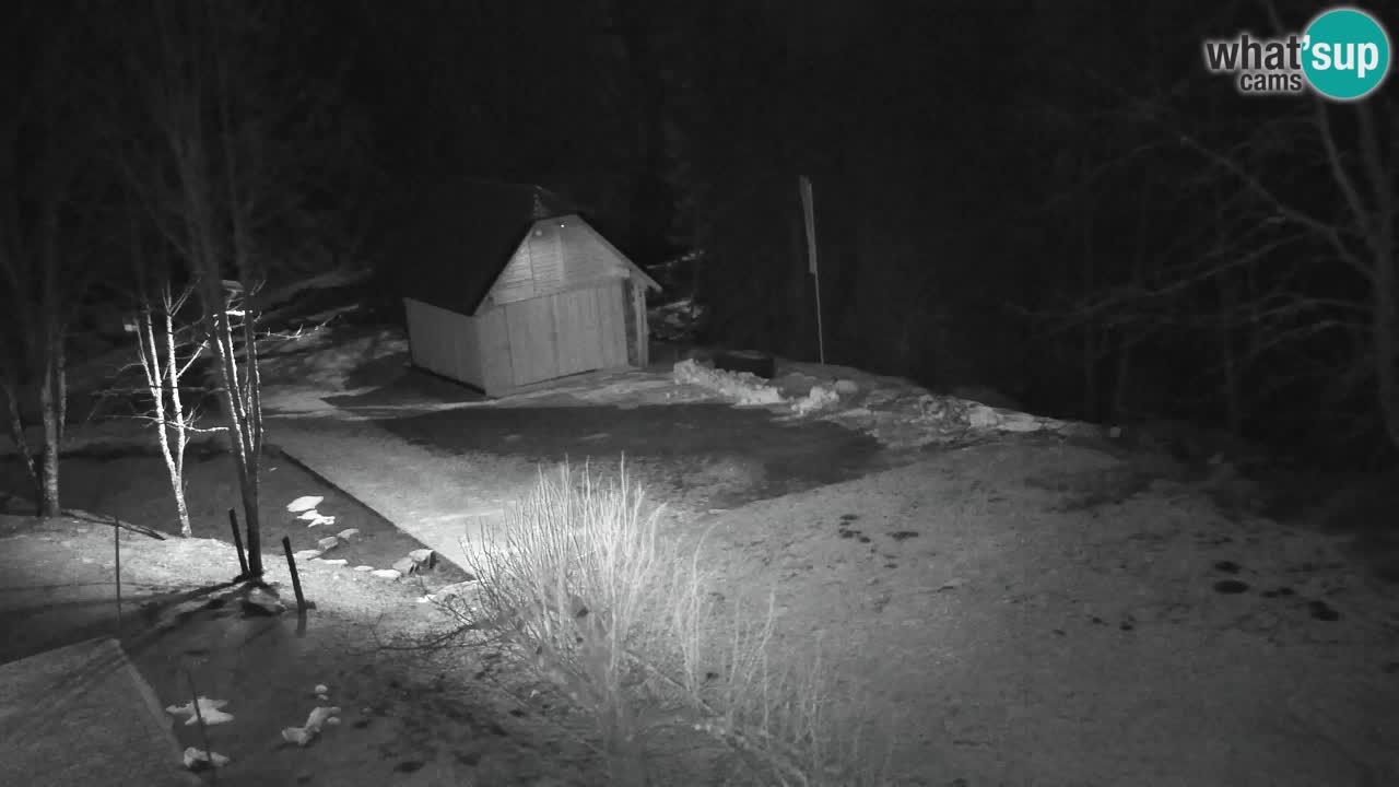 Webcam Lukanja – Water Village | Pohorje Houses