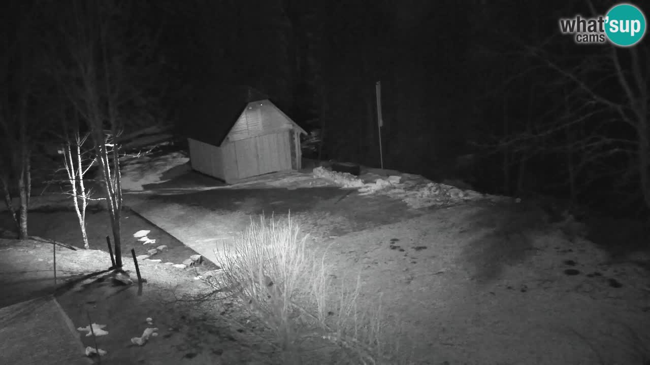 Webcam Lukanja – Water Village | Pohorje Houses