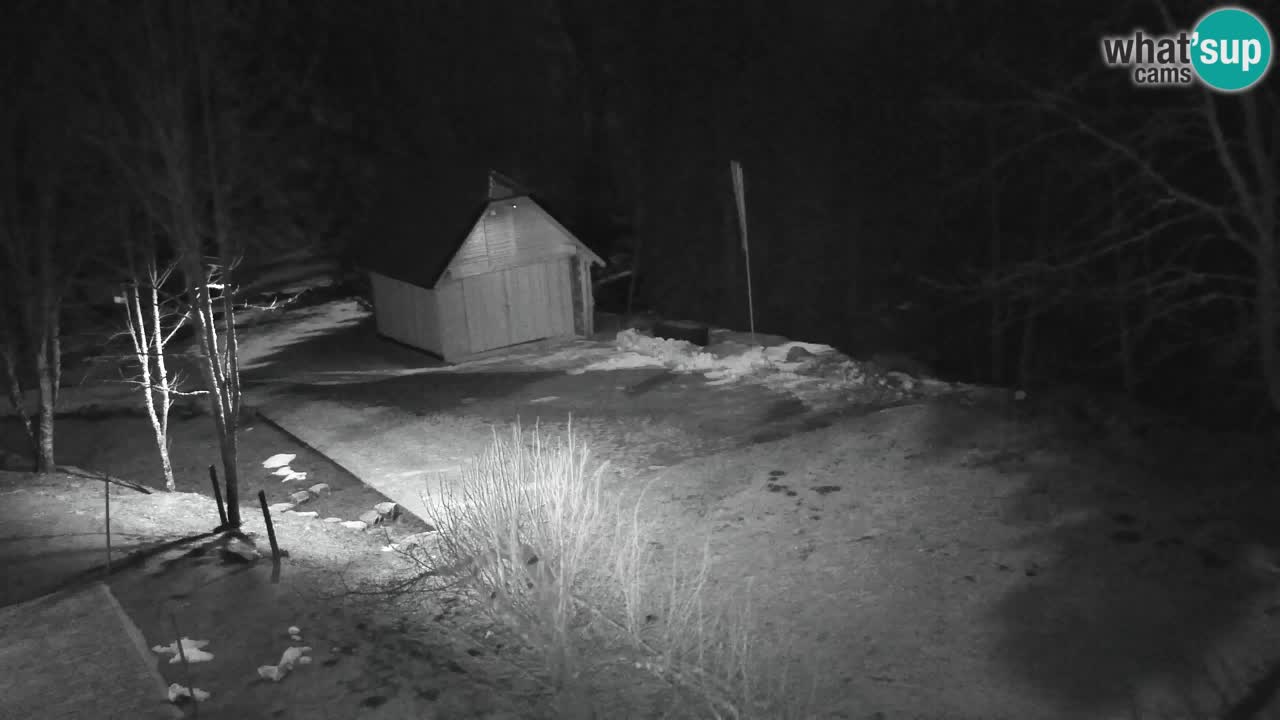 Webcam Lukanja – Pohorje houses a Water village