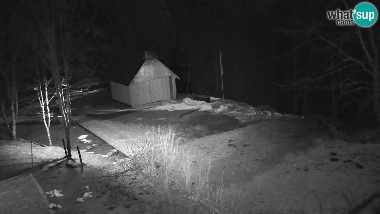 Webcam Lukanja – Water Village | Pohorje Houses