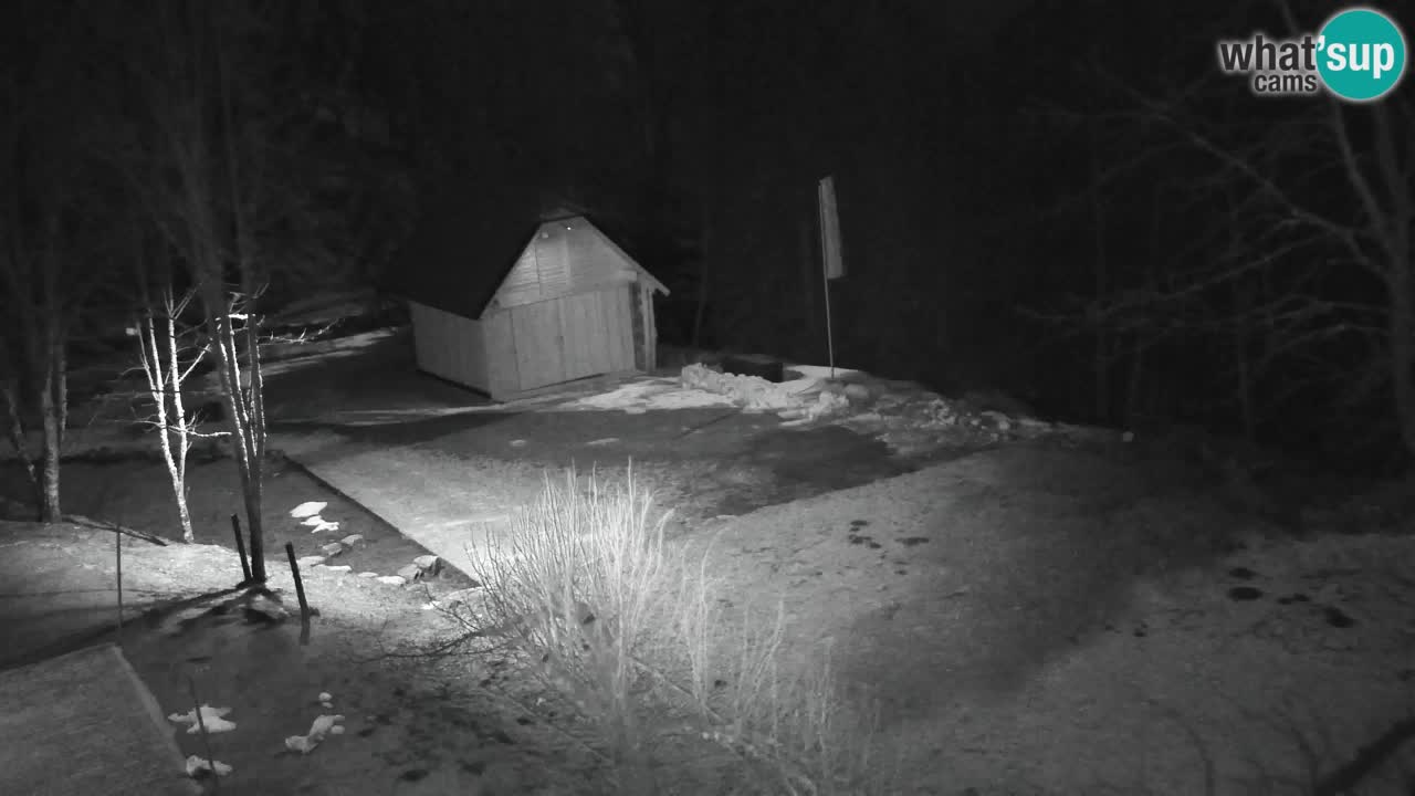 Webcam Lukanja – Water Village | Pohorje Houses