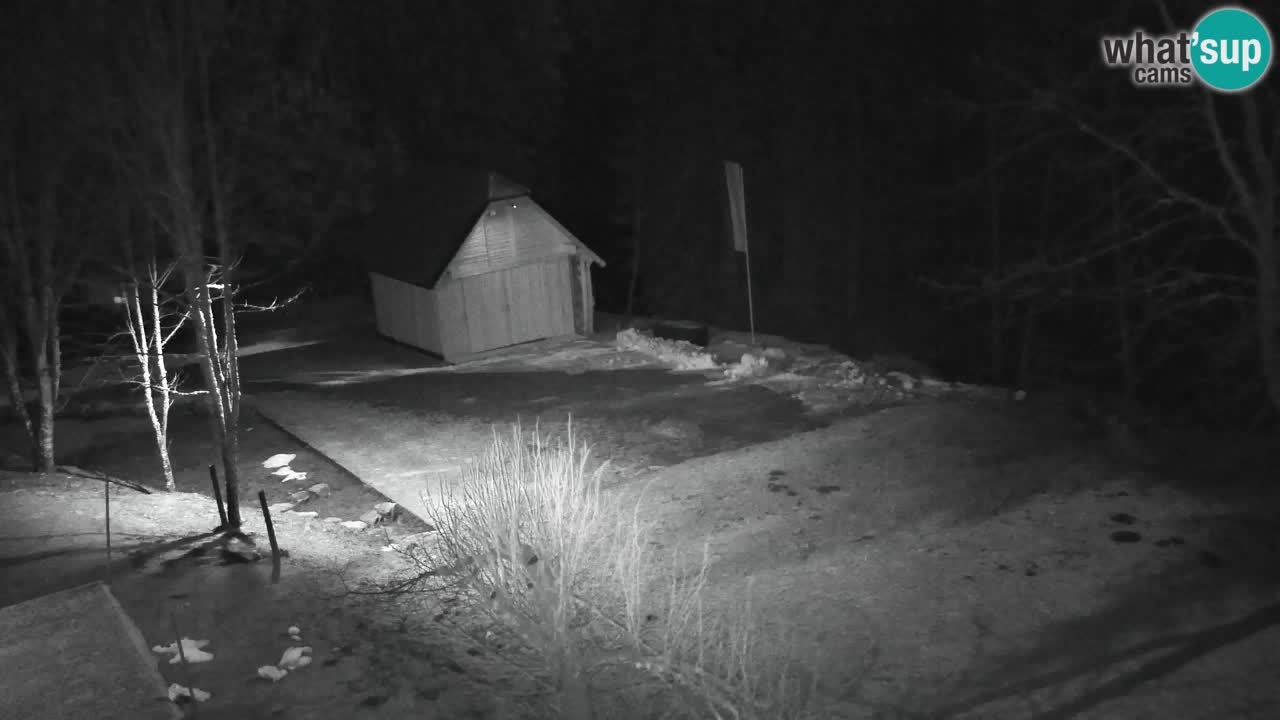 Web kamera Lukanja – Water Village | Pohorje Houses