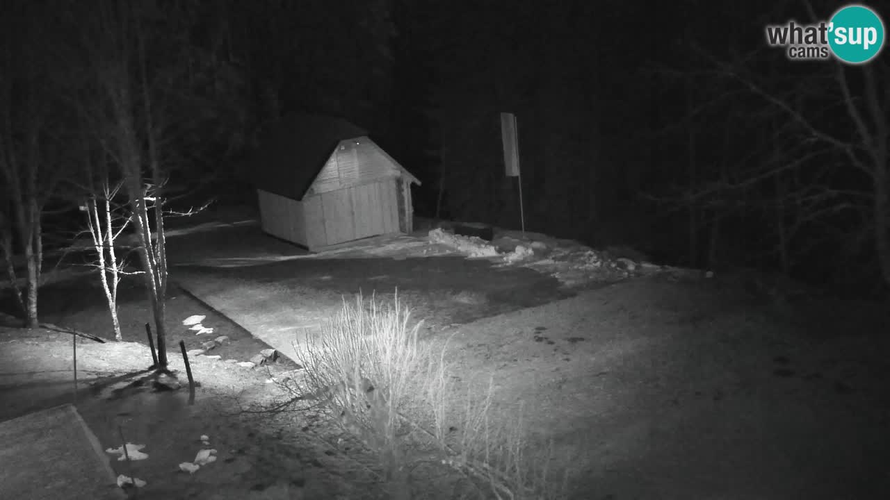 Spletna kamera Lukanja – Water Village | Pohorje Houses