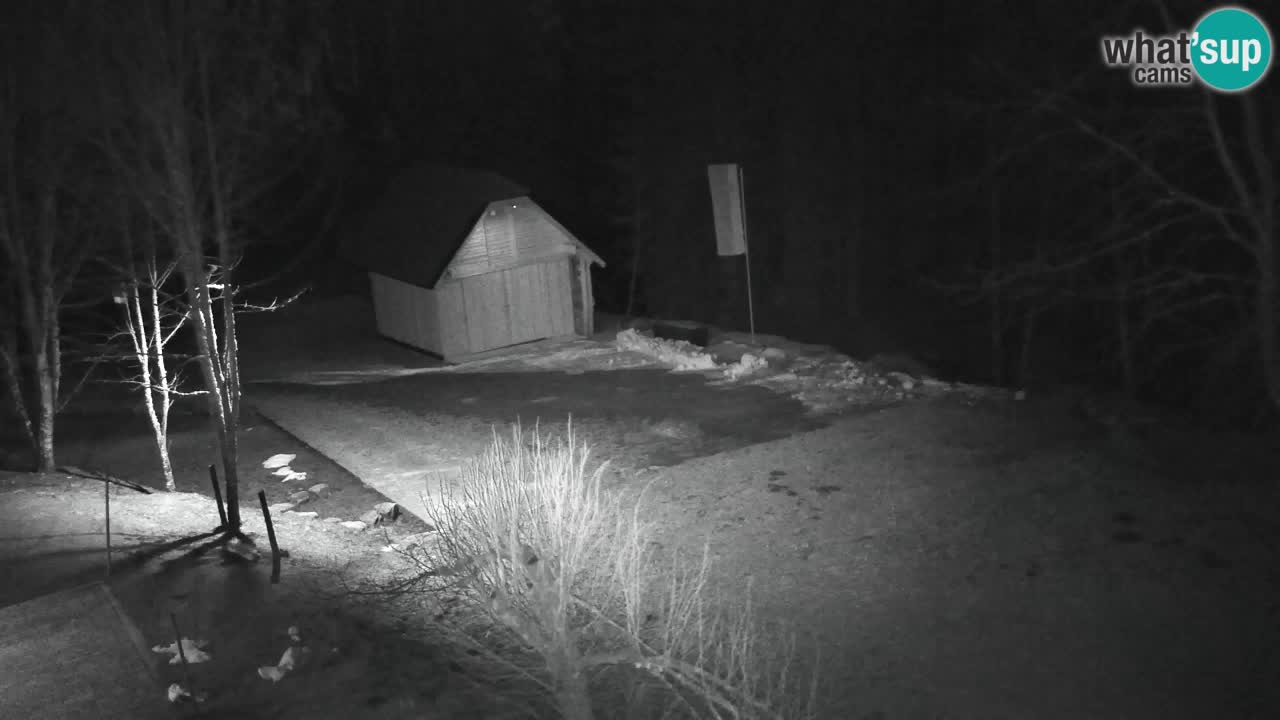 Webcam Lukanja – Water Village | Pohorje Houses