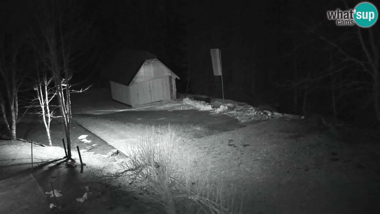 Webcam Lukanja – Water Village | Pohorje Houses