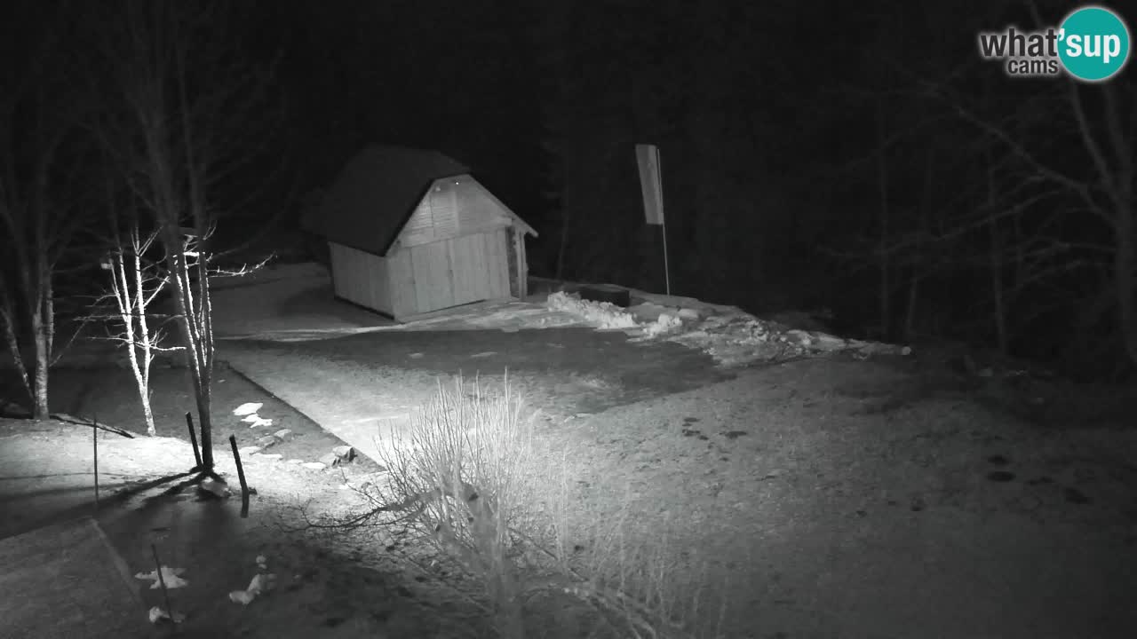 Webcam Lukanja – Water Village | Pohorje Houses