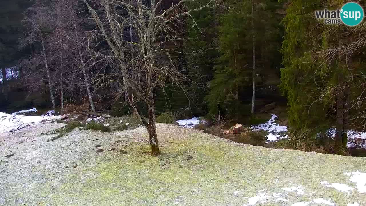 Webcam Lukanja – Water Village | Pohorje Houses