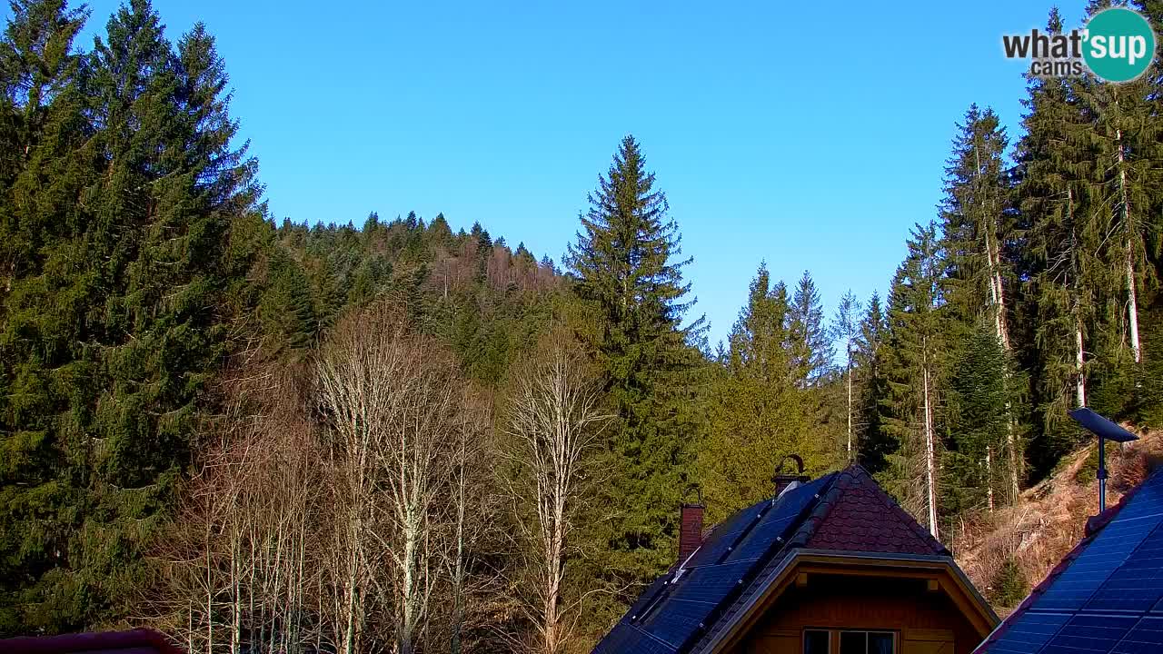 Spletna kamera Lukanja – Water Village | Pohorje Houses