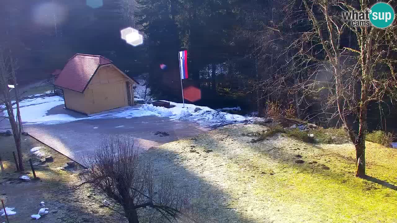 Webcam Lukanja – Water Village | Pohorje Houses