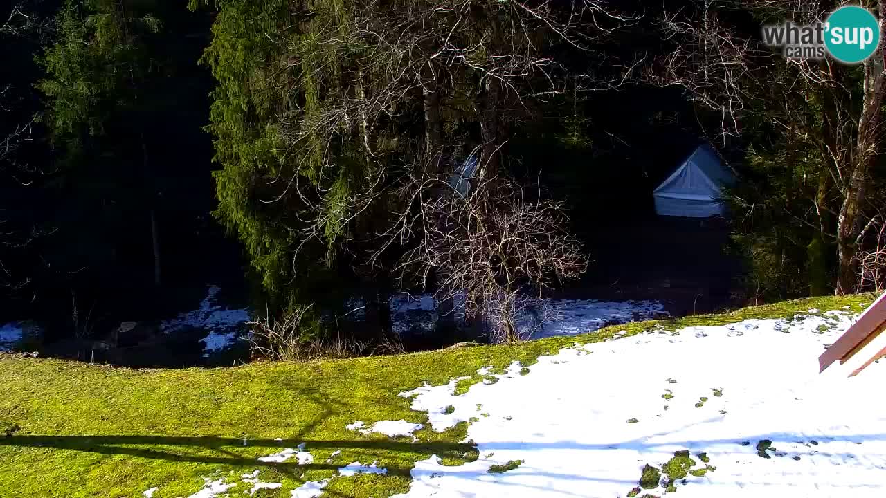 Webcam Lukanja – Pohorje houses a Water village