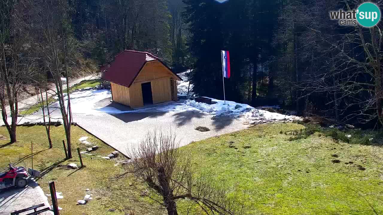Webcam Lukanja – Pohorje houses a Water village