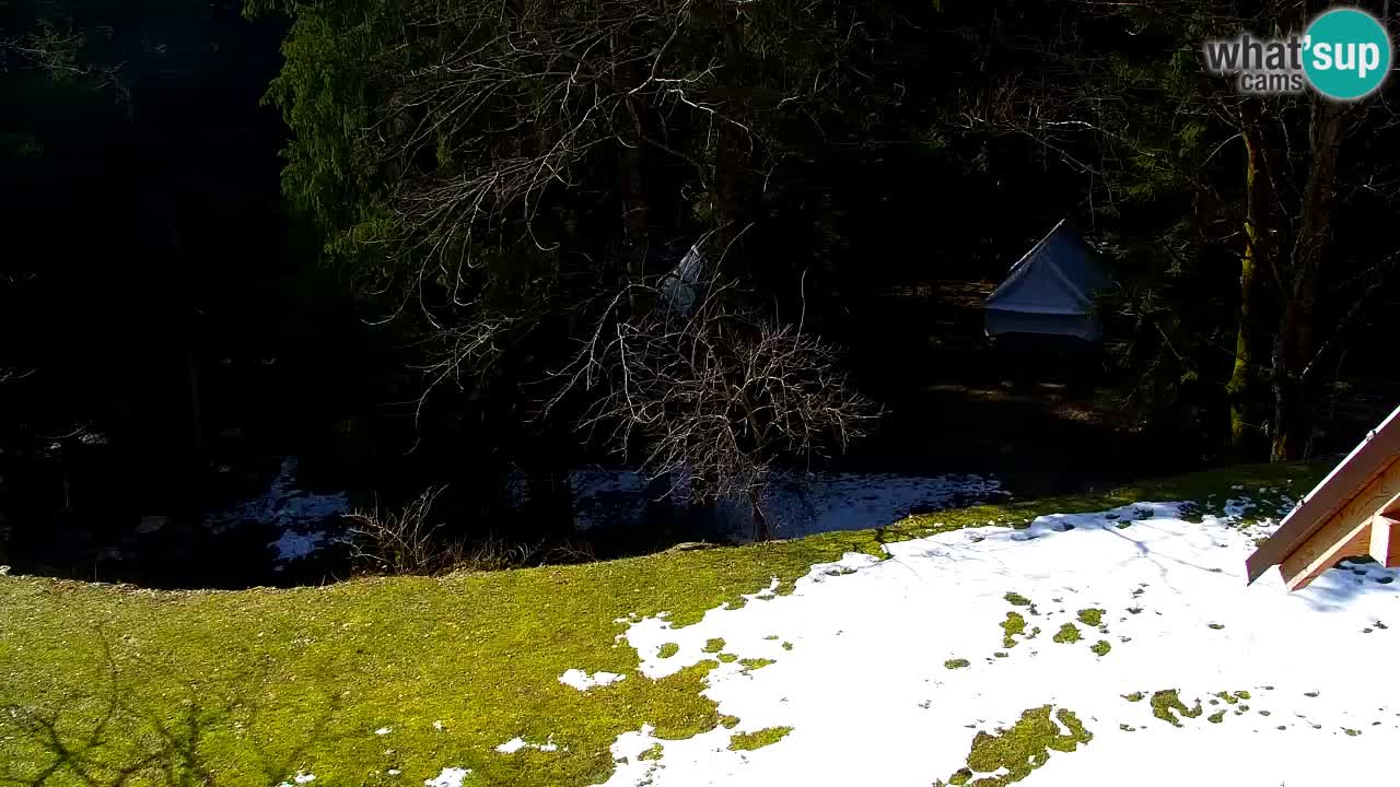 Web kamera Lukanja – Water Village | Pohorje Houses