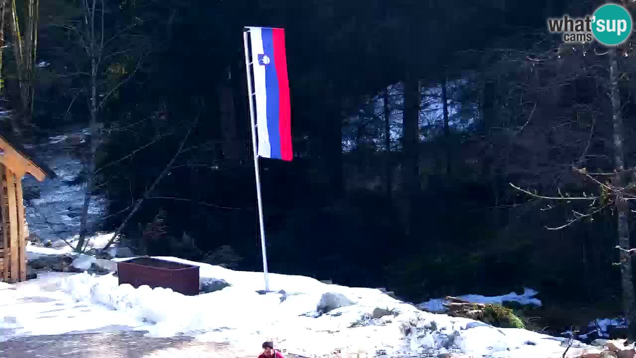 Spletna kamera Lukanja – Water Village | Pohorje Houses