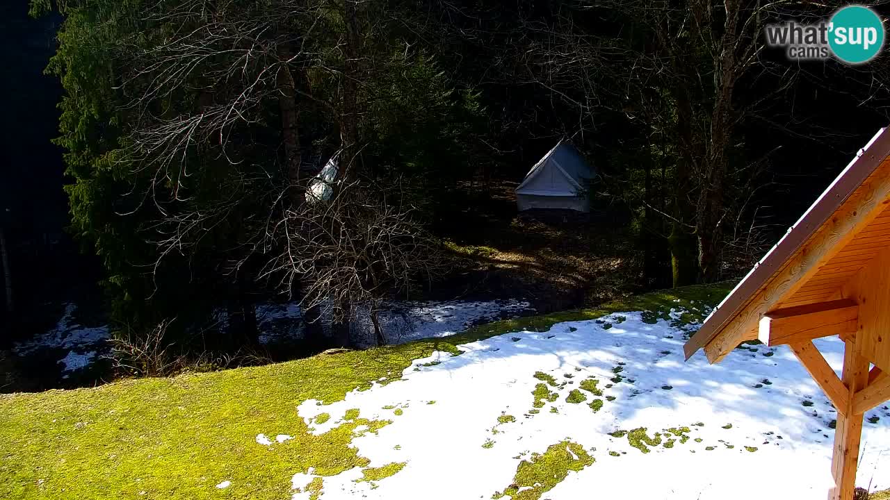 Spletna kamera Lukanja – Water Village | Pohorje Houses
