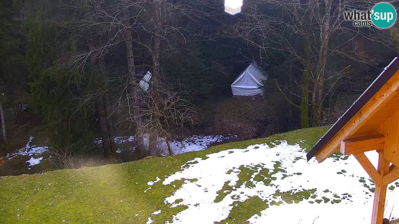 Spletna kamera Lukanja – Water Village | Pohorje Houses